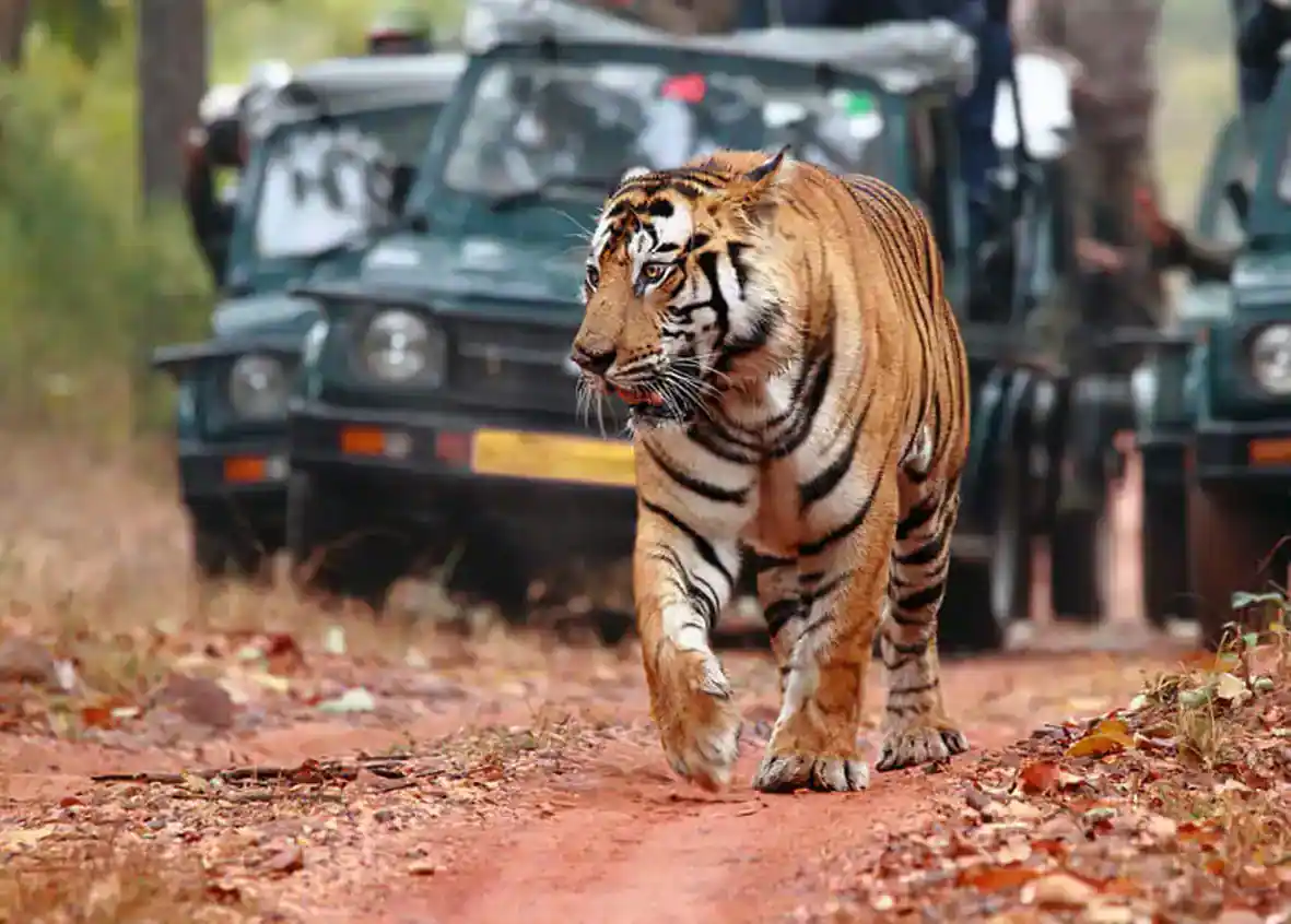 Golden Triangle Tour with Ranthambore 07 Days